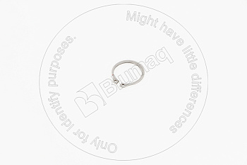 1750225 OE СТОПОРНОЕ КОЛЬЦО