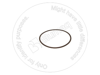 4J9224 ST ВОЗВРАТНОЕ КОЛЬЦО