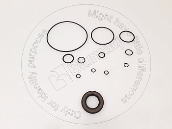VOE17210437 BQ SEAL KIT