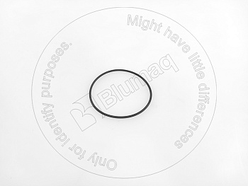 IT019464 ST КОЛЬЦО КРУГЛОГО СЕЧЕНИЯ