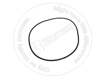 0700045300 ST КОЛЬЦО КРУГЛОГО СЕЧЕНИЯ