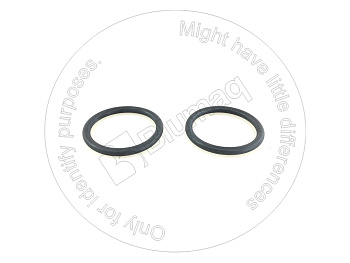 SX308101070 OR УПЛОТНИТЕЛЬНОЕ КОЛЬЦО В СБОРЕ (