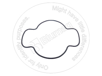 7051704381 OE КОЛЬЦО КРУГЛОГО СЕЧЕНИЯ