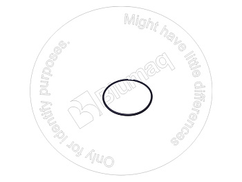 4314126 ST КОЛЬЦО КРУГЛОГО СЕЧЕНИЯ