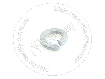 0818228 ST СТОПОРНАЯ ШАЙБА