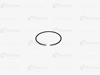 5590752 ST RING-PISTO