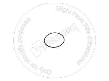 0616344 ST КОЛЬЦО КРУГЛОГО СЕЧЕНИЯ