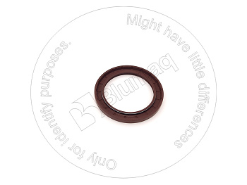 1249913 ST САЛЬНИК