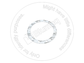 2473796 BQ ПРОКЛАДКА