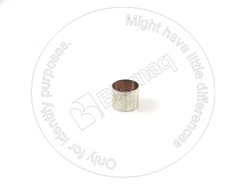 6210316131 OR BEARING