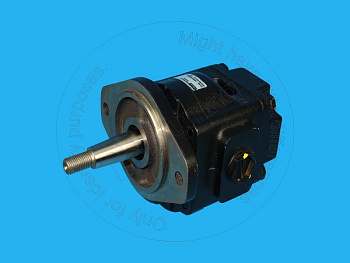 2466152 OE НАСОС