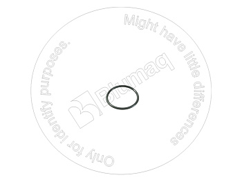 6210117710 ST КОЛЬЦО КРУГЛОГО СЕЧЕНИЯ