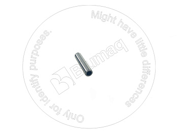 6204191310 ST НАПРАВЛЯЮЩАЯ КЛАПАНА