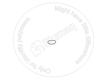 1991907 OE КОЛЬЦО КРУГЛОГО СЕЧЕНИЯ