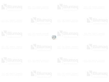 0779969 ST КЛАПАН ПРЕДОХРАНИТЕЛЬНЫЙ