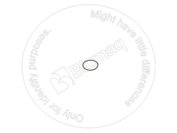 IT019048 ST КОЛЬЦО КРУГЛОГО СЕЧЕНИЯ