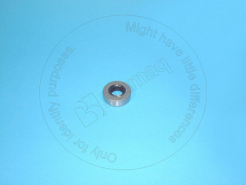 VOE795340 ST САЛЬНИК