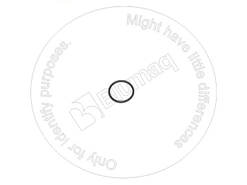 6Y2008 ST САЛЬНИК