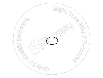 VOE13960225 ST КОЛЬЦО КРУГЛОГО СЕЧЕНИЯ