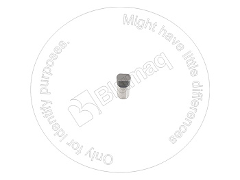 IT004804 OR PASADOR CASE