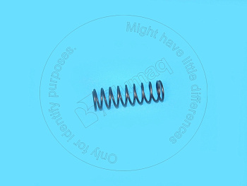 5G5704 OR ПРУЖИНА