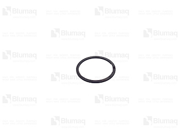 2H3548 OE RING