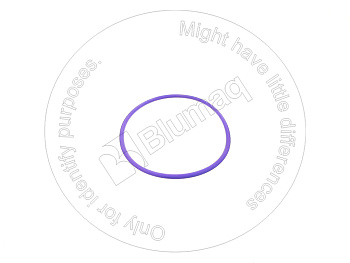 DG738.04.702.01 ST КОЛЬЦО КРУГЛОГО СЕЧЕНИЯ