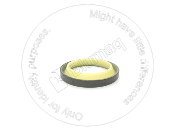 993929 ST САЛЬНИК