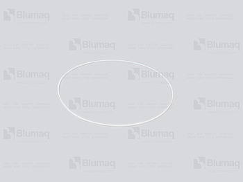 2799904 ST SEAL O-RING