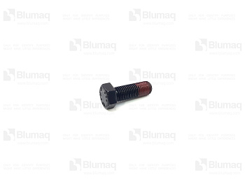 9X2021 BQ БОЛТ