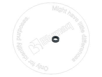 6L5424 ST САЛЬНИК