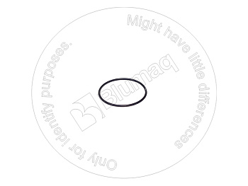 0951747 BQ КОЛЬЦО КРУГЛОГО СЕЧЕНИЯ