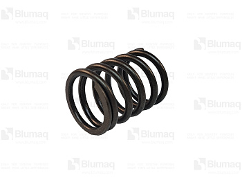 KU1G89613240 ST SPRING-VAL