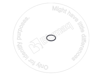 0968289 ST КОЛЬЦО КРУГЛОГО СЕЧЕНИЯ