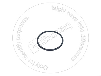 0951704 ST КОЛЬЦО КРУГЛОГО СЕЧЕНИЯ