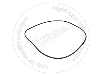 6204118810 ST КОЛЬЦО КРУГЛОГО СЕЧЕНИЯ