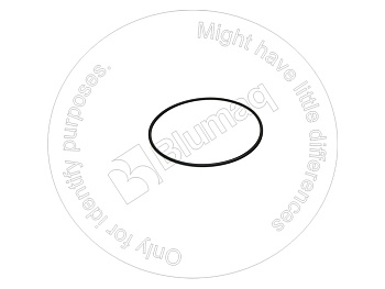 0782009 ST КОЛЬЦО КРУГЛОГО СЕЧЕНИЯ