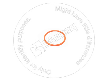 0700063042 ST КОЛЬЦО КРУГЛОГО СЕЧЕНИЯ