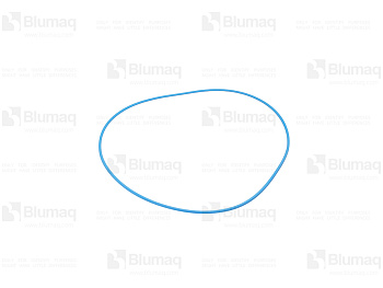 5710579 BQ КОЛЬЦО УПЛОТНИТЕЛЬНОЕ