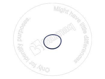 VOE13960228 ST КОЛЬЦО КРУГЛОГО СЕЧЕНИЯ