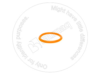 0700063028 ST КОЛЬЦО КРУГЛОГО СЕЧЕНИЯ