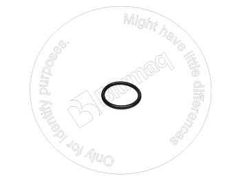 0951612 ST КОЛЬЦО КРУГЛОГО СЕЧЕНИЯ