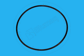 0981291 BQ КОЛЬЦО КРУГЛОГО СЕЧЕНИЯ