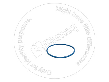 2287097 ST КОЛЬЦО КРУГЛОГО СЕЧЕНИЯ