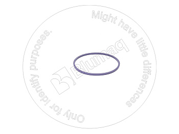VOE8148067 BQ САЛЬНИК