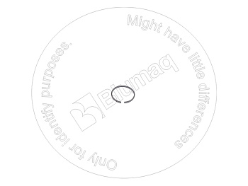 7N6607 ST КОЛЬЦО