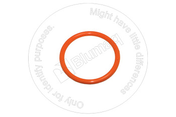 0700073038 ST КОЛЬЦО КРУГЛОГО СЕЧЕНИЯ