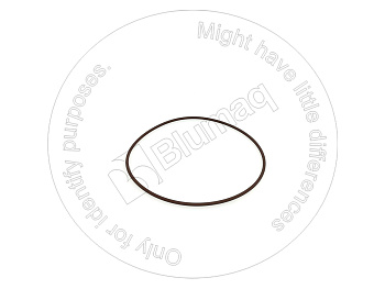 343943R1 ST КОЛЬЦО КРУГЛОГО СЕЧЕНИЯ