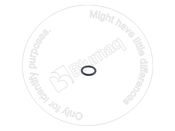 VOE13960165 ST КОЛЬЦО КРУГЛОГО СЕЧЕНИЯ