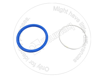 VOE14215246 ST САЛЬНИК